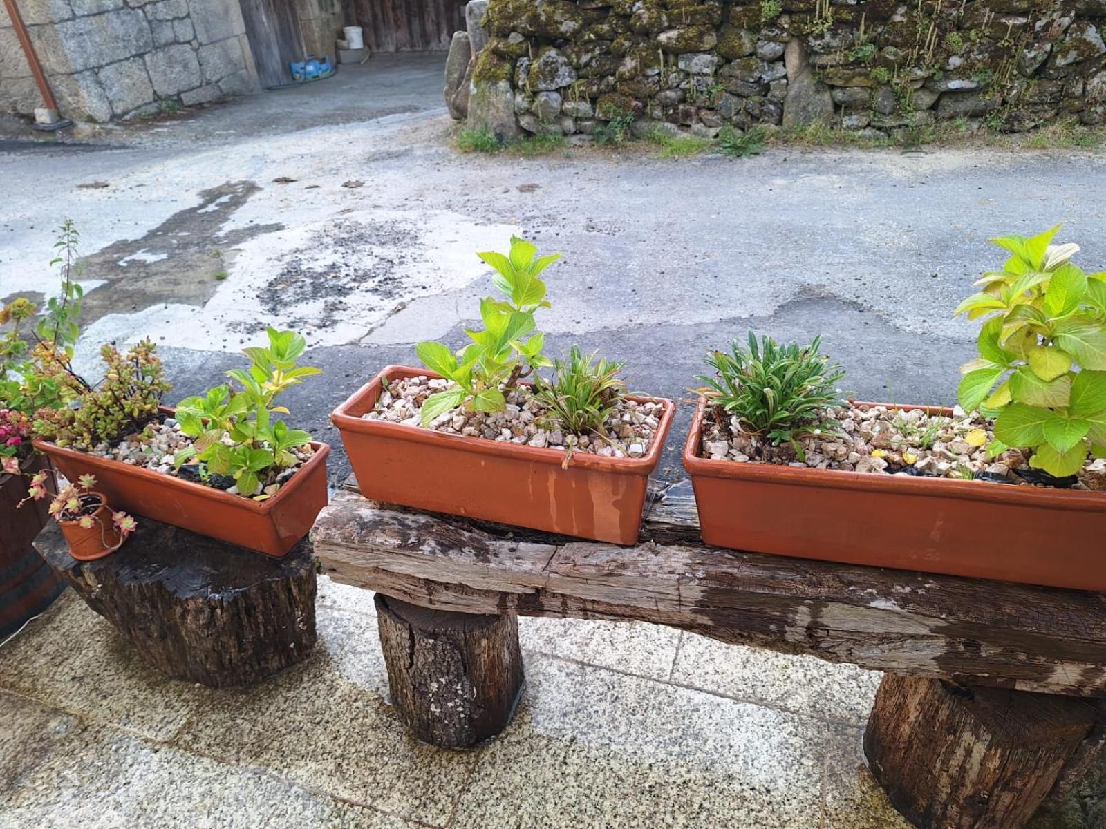 Pensión O Corazón da Ribeira Sacra La Teijeira Exterior foto