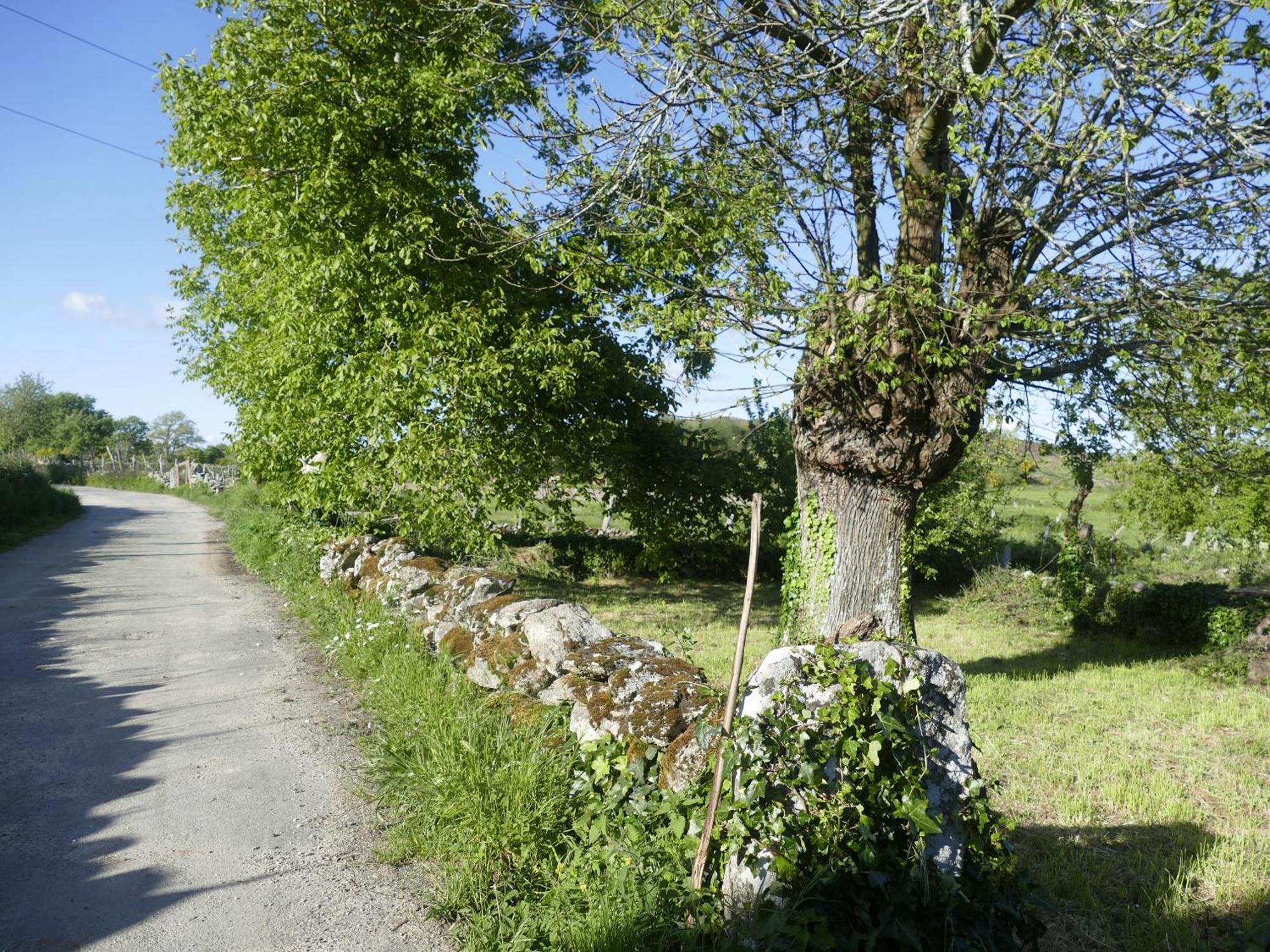 Pensión O Corazón da Ribeira Sacra La Teijeira Exterior foto